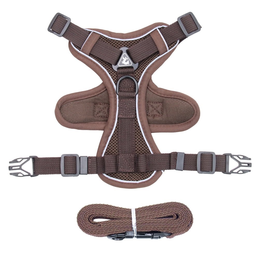 Traction Reflective Bitz Adjustable Leash - BITZ