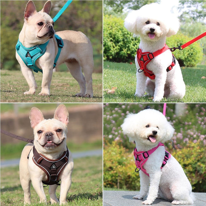 Traction Reflective Bitz Adjustable Leash - BITZ