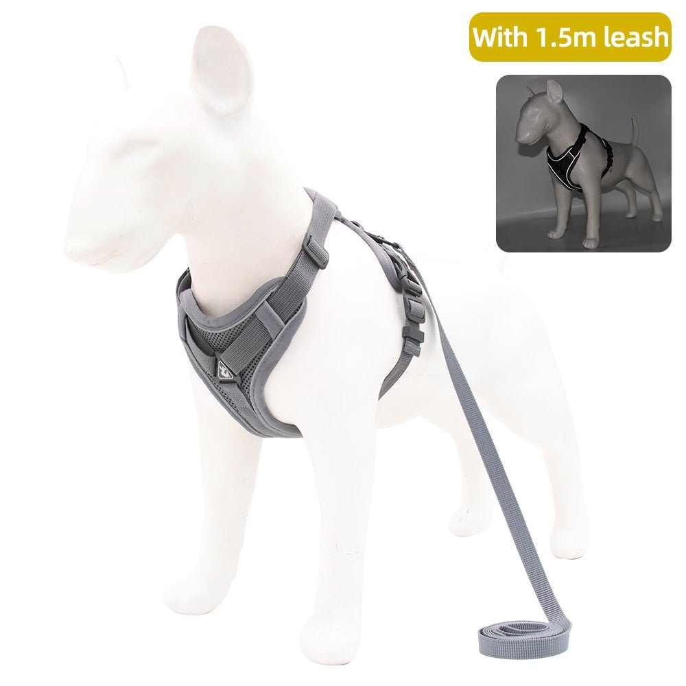 Traction Reflective Bitz Adjustable Leash - BITZ
