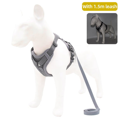 Traction Reflective Bitz Adjustable Leash - BITZ
