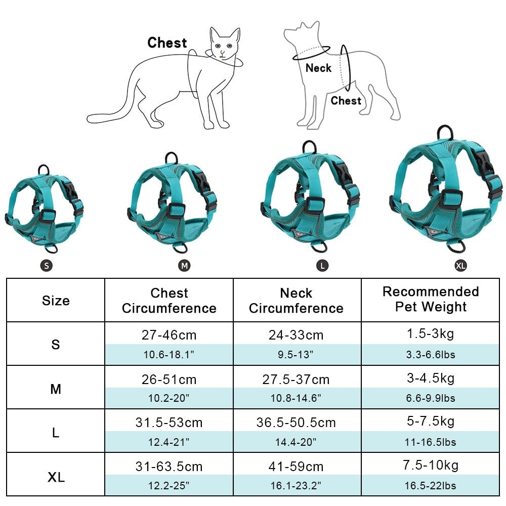 Traction Reflective Bitz Adjustable Leash - BITZ