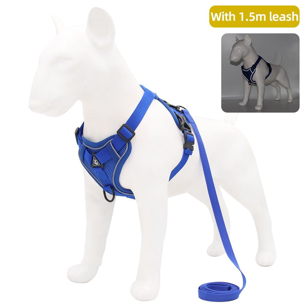 Traction Reflective Bitz Adjustable Leash - BITZ
