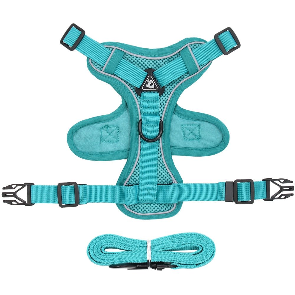 Traction Reflective Bitz Adjustable Leash - BITZ
