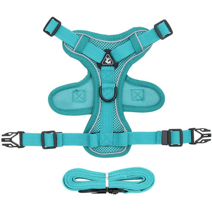Traction Reflective Bitz Adjustable Leash - BITZ