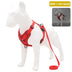 Traction Reflective Bitz Adjustable Leash - BITZ