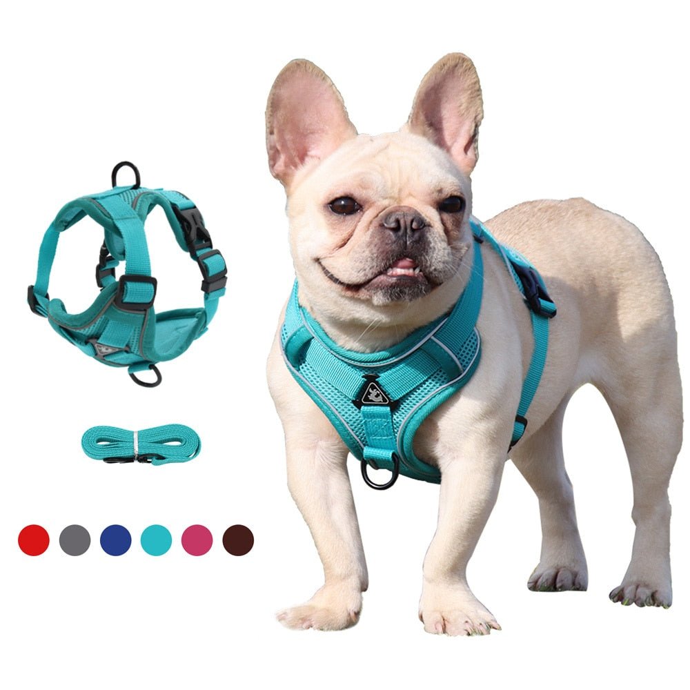 Traction Reflective Bitz Adjustable Leash - BITZ