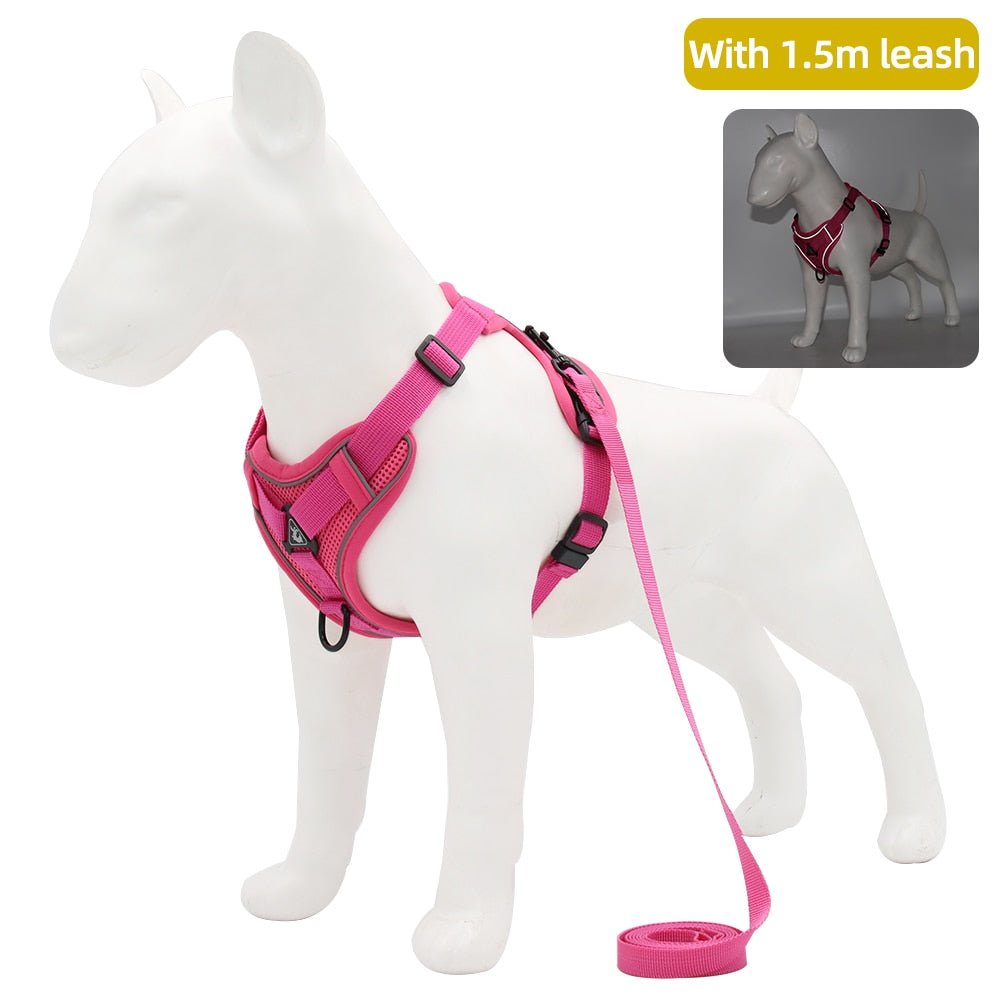 Traction Reflective Bitz Adjustable Leash - BITZ